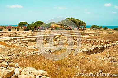 A treeless plain is a piece of land that is being sown or cultivated Stock Photo