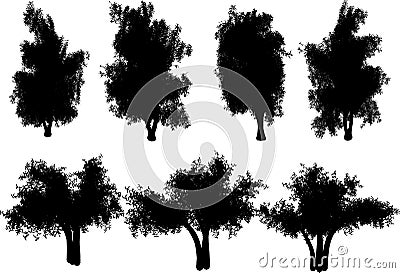 Trees Vector Illustration