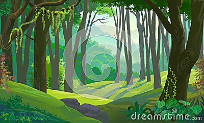 Trees across green fields in a forest Vector Illustration