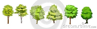 The trees. Adults and young tall plants. Detailed realistic silhouettes. Isolated vector objects. For landscapes. Vector Illustration