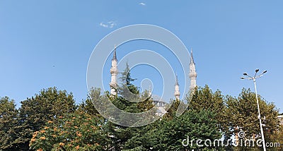 Trees against the look of the minarets and sky Stock Photo