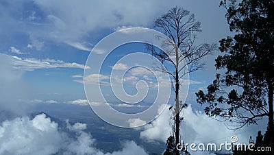 Trees atop the mountain Stock Photo