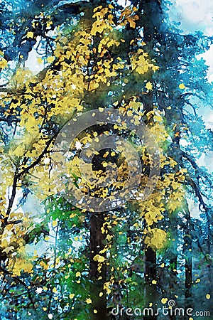 Trees in autumn with yellow leaves, fall season image, digital watercolor painting Cartoon Illustration