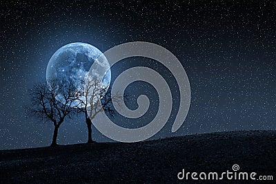 Trees in blue moon Stock Photo