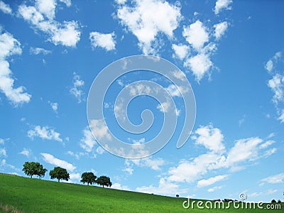 Trees with blue sky and clouds (8) Stock Photo