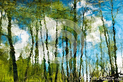Trees and blue sky with clouds reflection Stock Photo