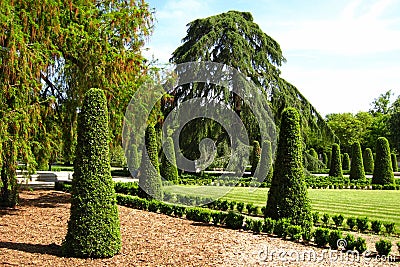 Trees in Buen Retiro public park, Madrid, Spain Stock Photo