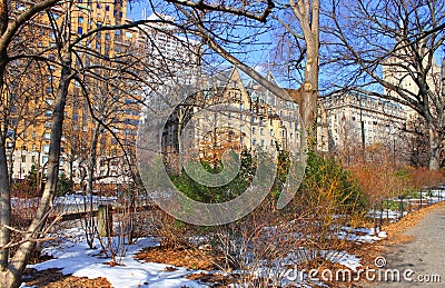 Trees, buildings on the background, also the Dakota Building, Central Park, New York City, during winter. Editorial Stock Photo