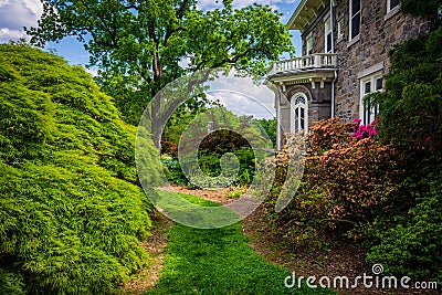 Trees and bushes behind the Cylburn Mansion at Cylburn Arboretum Stock Photo