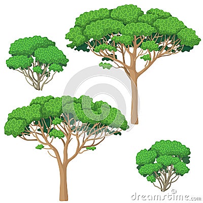 Trees and Bushes Set Vector Illustration