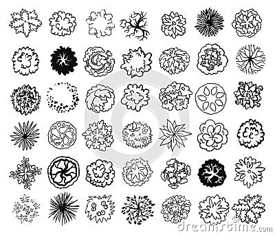 Trees, bushes and shrubs, top view for landscape design plan. Vector Illustration