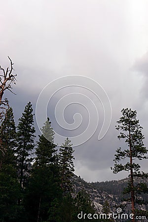 Trees Clinging to the Rocky Southern Slope of Halfdome Stock Photo