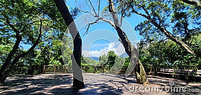 Trees. Clouds. Forest. Nature. Taiwan. Stock Photo