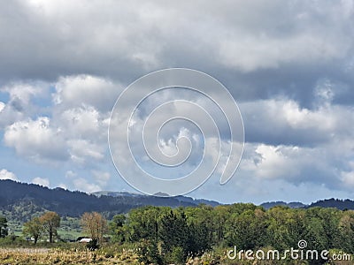 Trees clouds grey skies blue skies view of trees grass pasture view trail walk Stock Photo