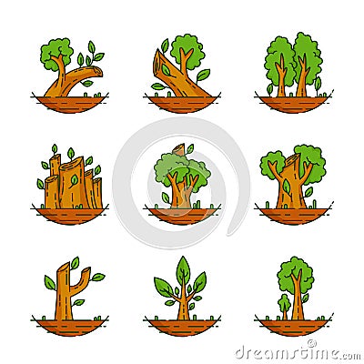 Tree, Plant, Forest, Nature, Botanical Illustration, Trees Collection Vector Illustration