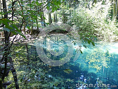 Trees, colors, lights and shadows reflect in the Beiu`s Eye lake Stock Photo