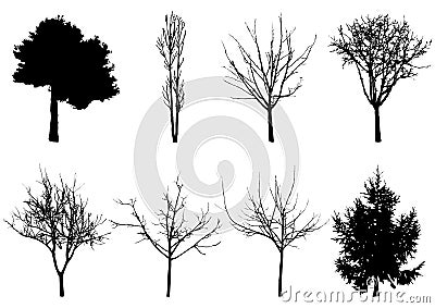 Trees contours Vector Illustration