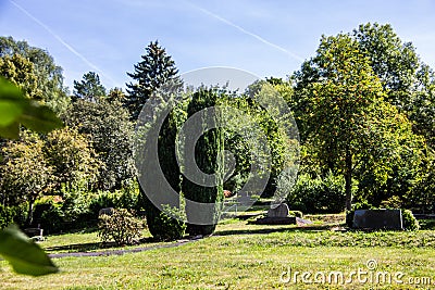 Trees and cypress trees in the cemetery under a blue sky Stock Photo