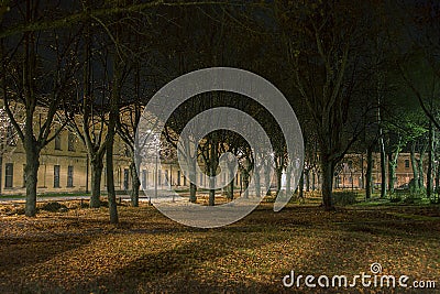 Trees in the darkness in Daugavpils city effort Stock Photo