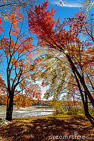 Trees drape over Lake Wallenpaupack in Poconos PA on a bright fall day lined with trees Stock Photo