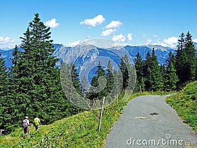 Trees and evergreen forests on the slopes of Alviergruppe mountain range and of the river Rhine valley Editorial Stock Photo