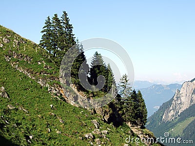 Trees and evergreen forests on the slopes of the Alviergruppe mountain range Stock Photo