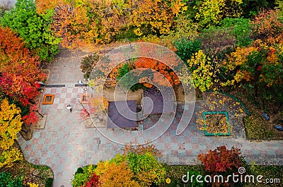 Trees in fall autumn colors in an urban apartment complex. top view. south korea Stock Photo