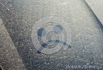 Trees and flowers pollen covering car exterior in spring. Stock Photo