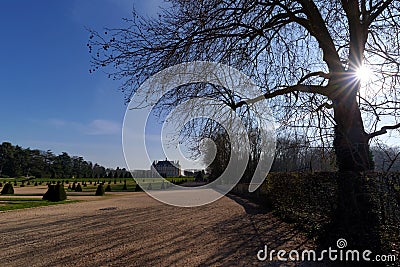 Trees in French gardens of the public park of Sceaux Stock Photo
