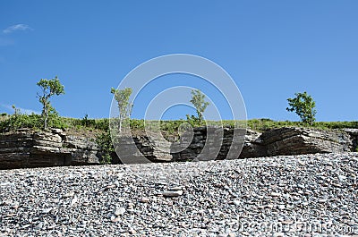 Trees at the frontline of cliffs by a coast with pebbles Stock Photo