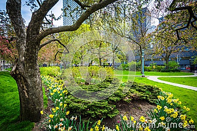 Trees and gardens outside Osgoode Hall, in Toronto, Ontario. Stock Photo