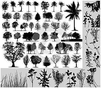 Trees, grass, plant vector Vector Illustration