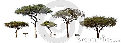 Trees in Grasslands of Kenya Africa Stock Photo