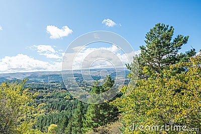 Trees on a cliff in the mountains, view from the Resort Park to the city of Kislovodsk Stock Photo