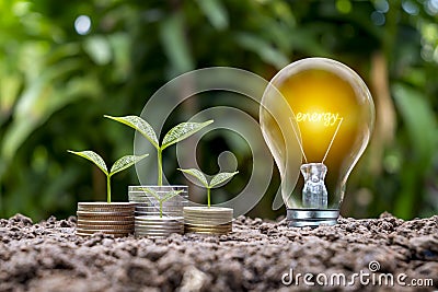 Trees grow from coins and energy-saving light bulbs labeled ENERGY, energy-saving Stock Photo