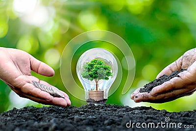 Trees grow on piles of coins in bulbs and hands that give soil and money. Stock Photo