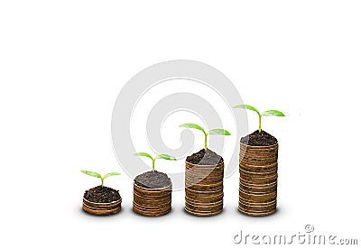 Trees growing on coins Stock Photo