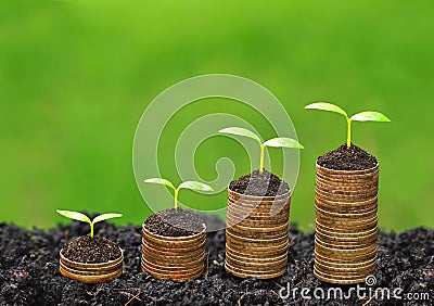 Trees growing on coins Stock Photo