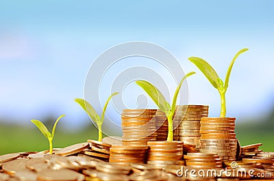 Trees growing on pile of coins money Stock Photo