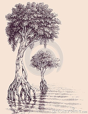 Trees growing in water hand drawing Vector Illustration