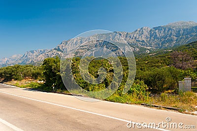 Trees with high croatian mountain Biokovo in background Stock Photo