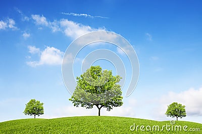 Trees, hills and amazing sky Stock Photo