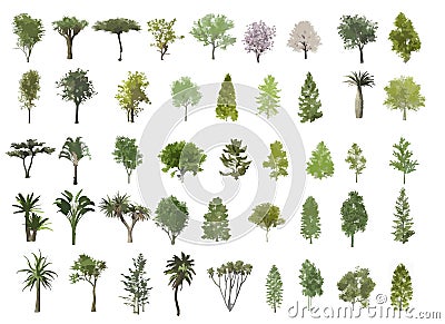 Trees illustration Vector Illustration