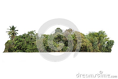 Trees island, Large bushes isolated on white background Stock Photo