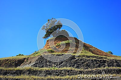 Tree on hill of mining area in Australia Stock Photo