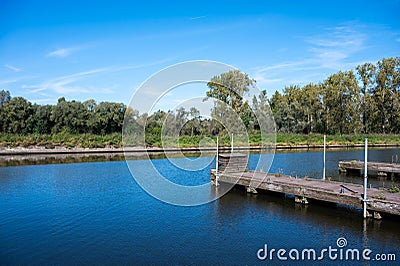 Trees and a jetty reflecting in the water of the river Dender around Geraardsbergen, East Flemish Region, Belgium Stock Photo