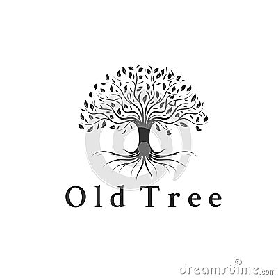 Trees logo designs inspirations , root , leaf Vector Illustration