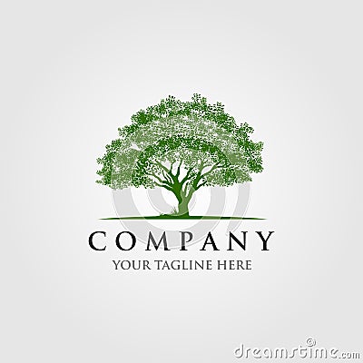 Trees logo illustration design Vector Illustration