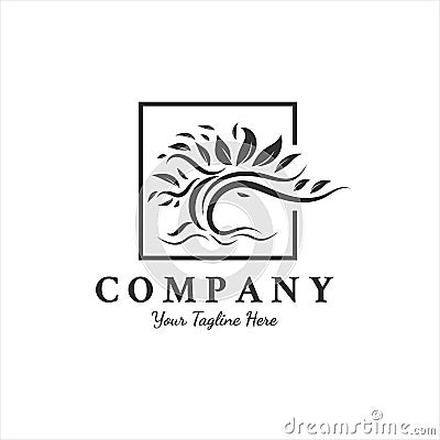 Trees logo designs inspirations , root , leaf Vector Illustration