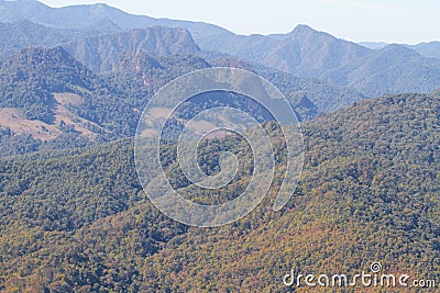 trees and mountain views landscape Stock Photo